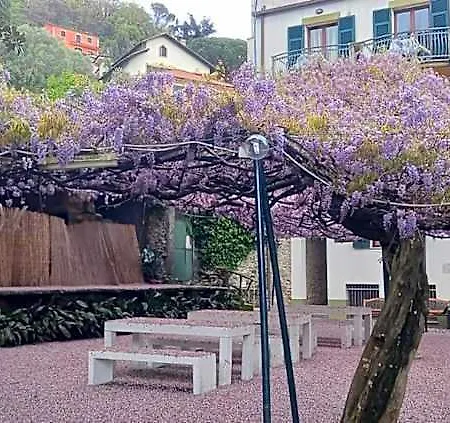 Hotel Hotel Residence Moneglia 2*