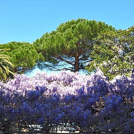 Hotel Residence Moneglia 2*